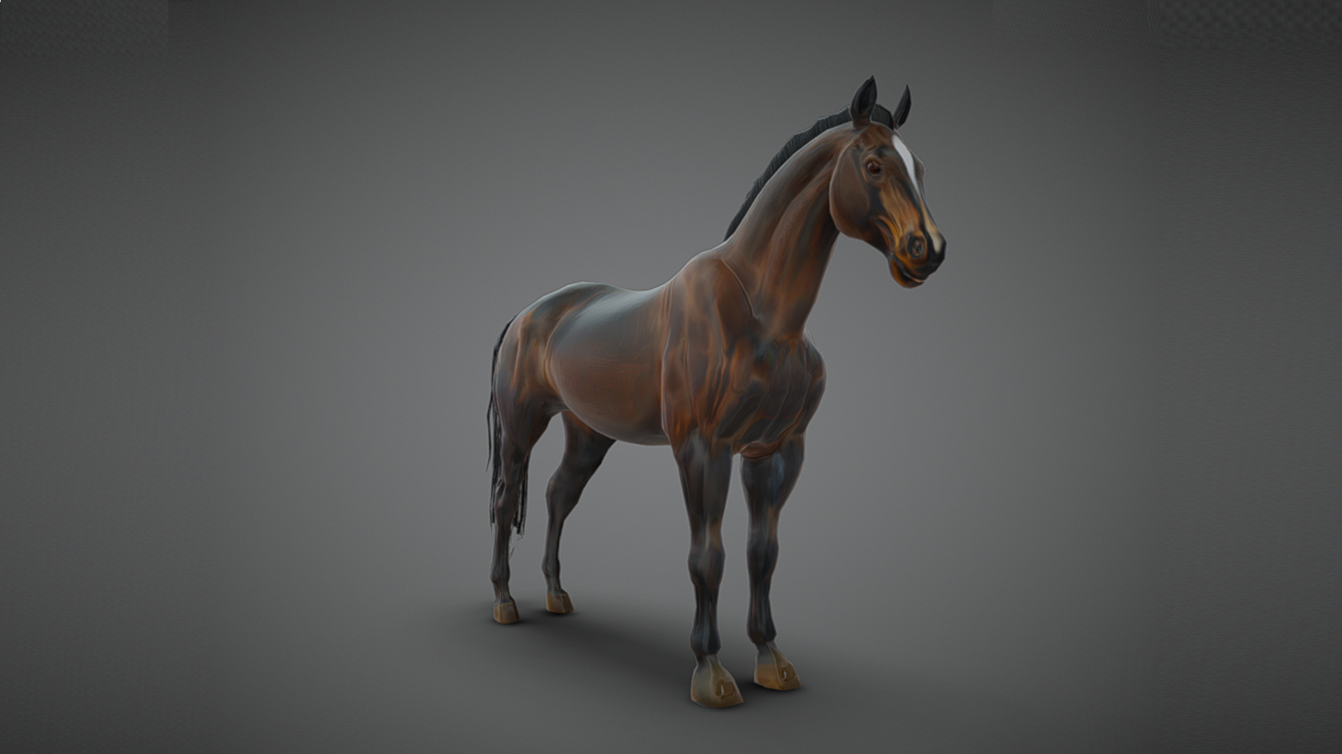 Realistic Muscular Horse Low-poly 3D model_4