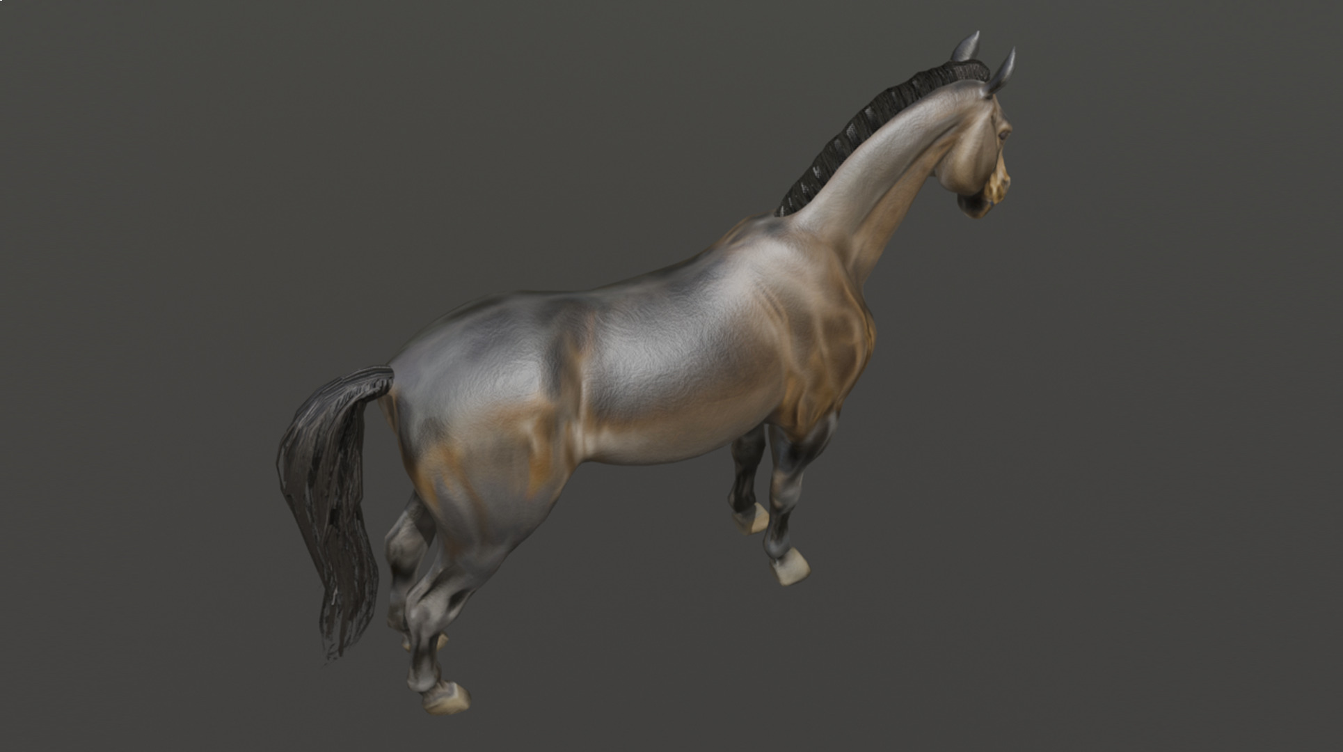 Realistic Muscular Horse Low-poly 3D model_8