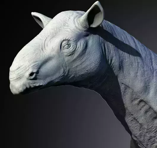 Paraceratherium The Gentle Giant of the Oligocene