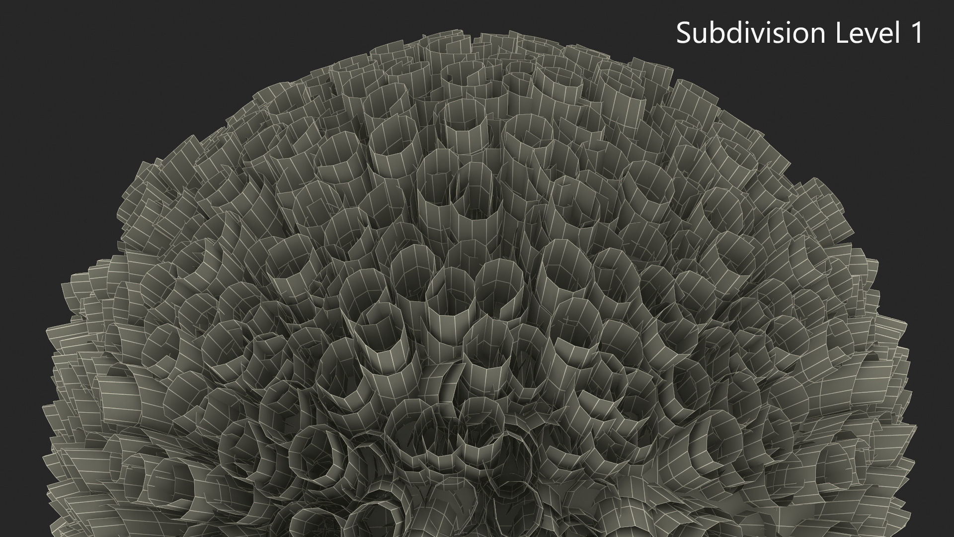 Little Dark Skin Boy Rigged 3D model_21