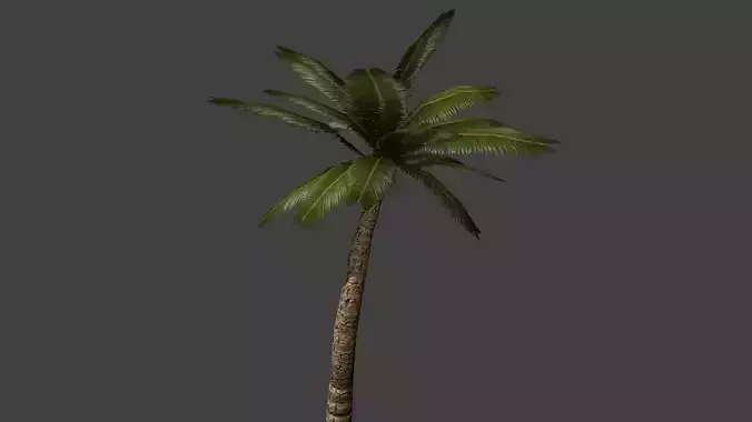 Low Poly Palm Tree Low-poly 3D model