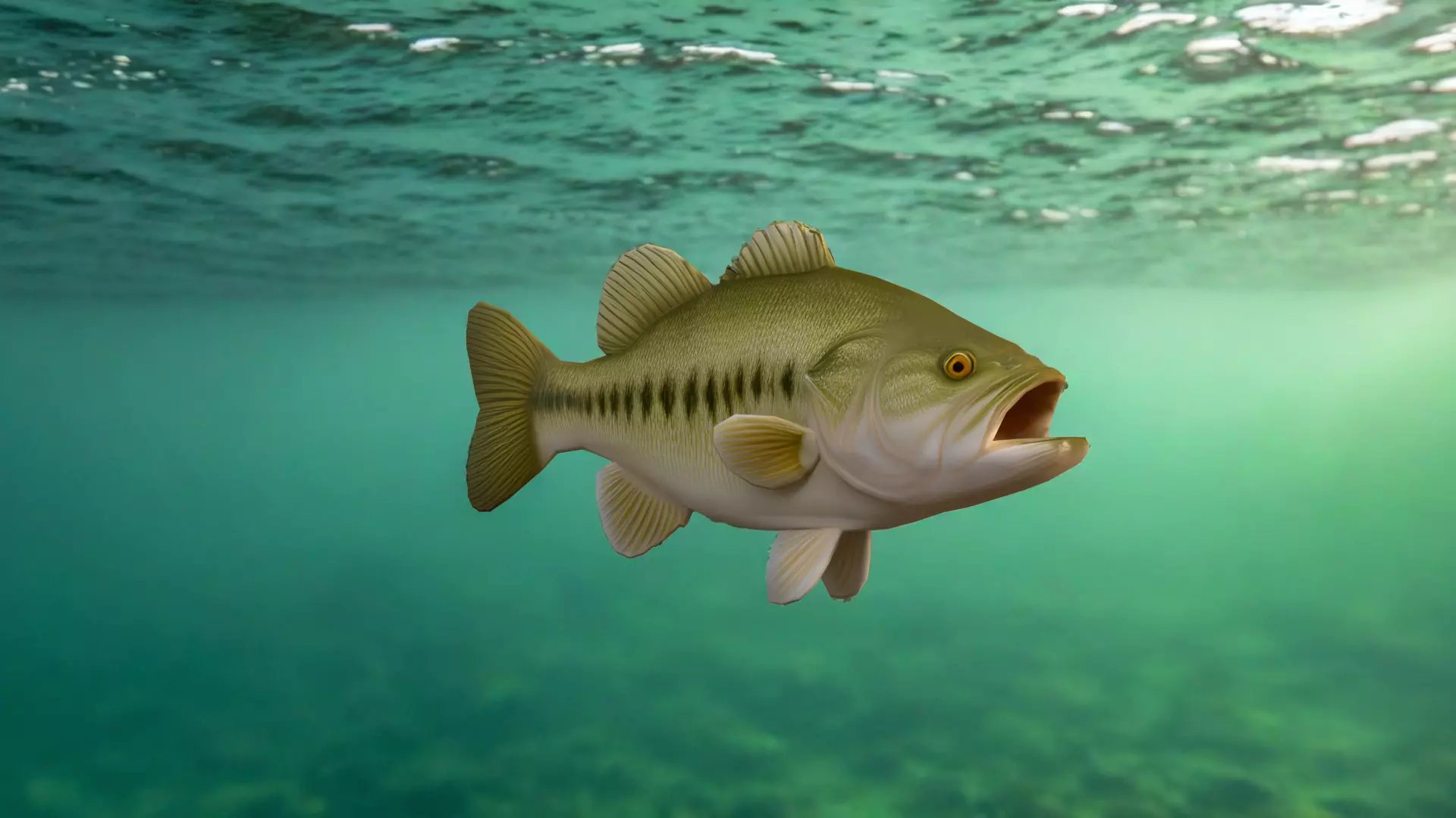 Realistic Bass Fish Low-poly 3D model_0