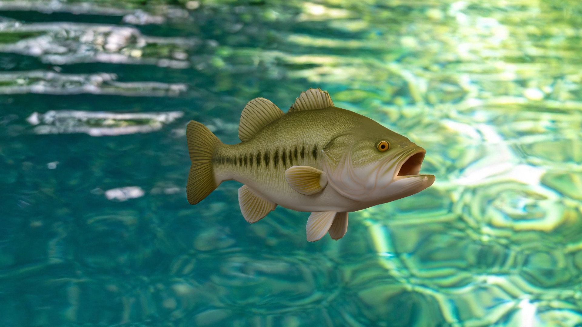Realistic Bass Fish Low-poly 3D model_1
