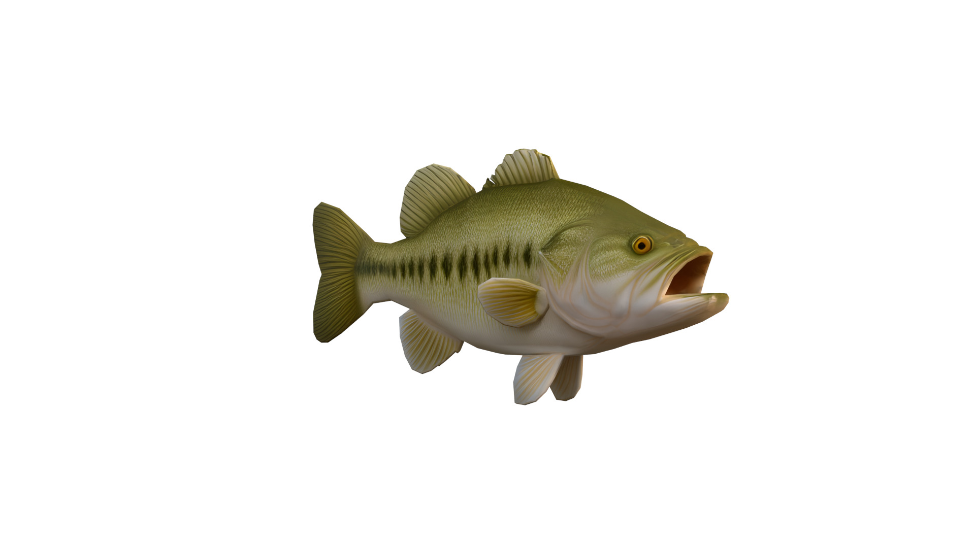 Realistic Bass Fish Low-poly 3D model_4