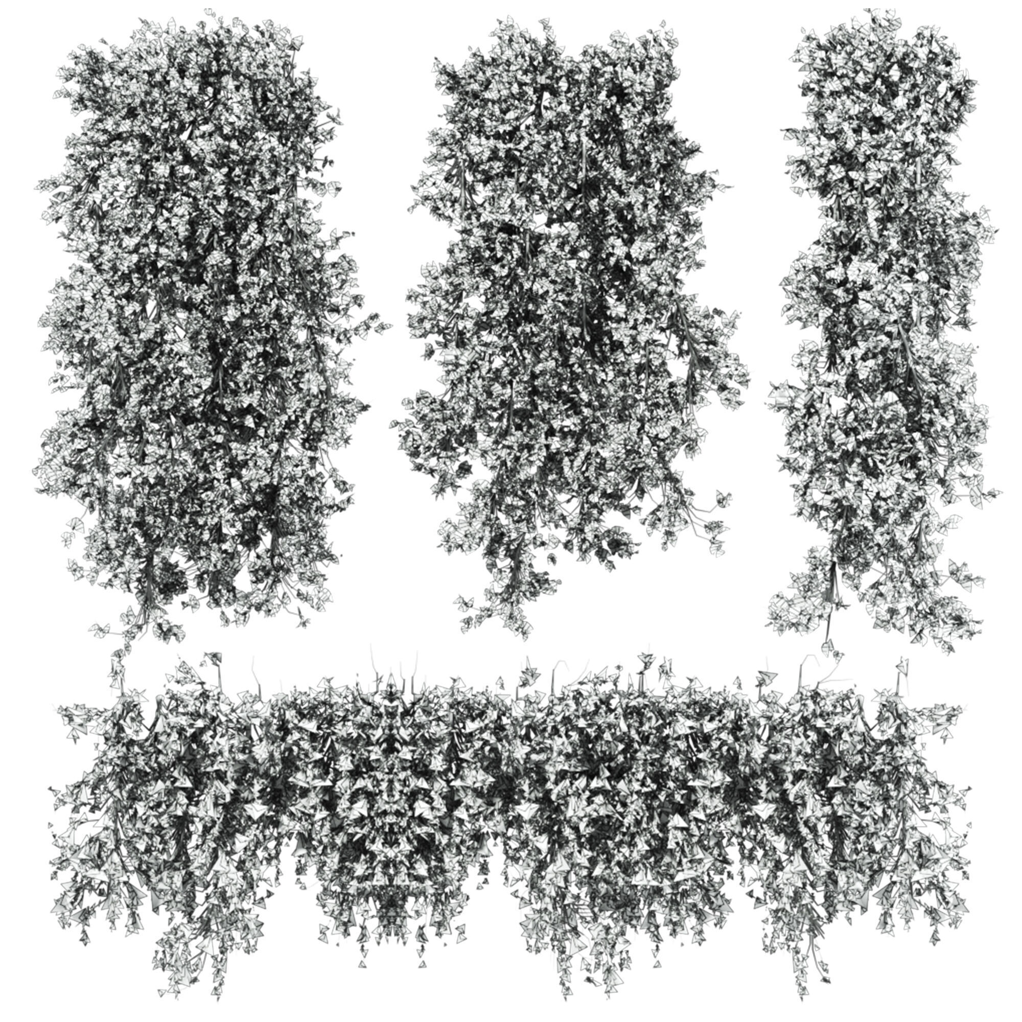 ivy plants 3D model_2