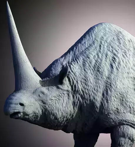 Elasmotherium the Siberian Unicorn