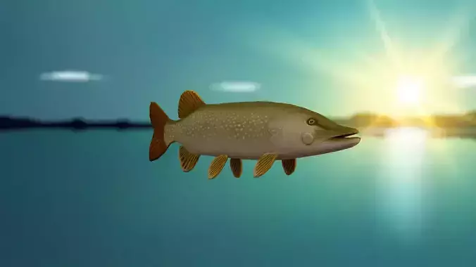 Realistic Freshwater Fish Pike