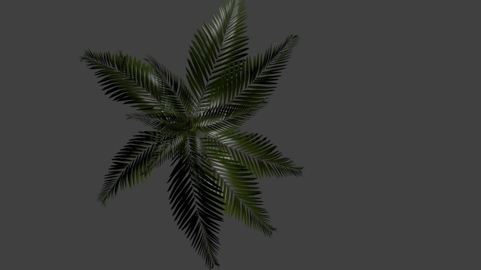 Palm Tree Low-poly 3D model_1