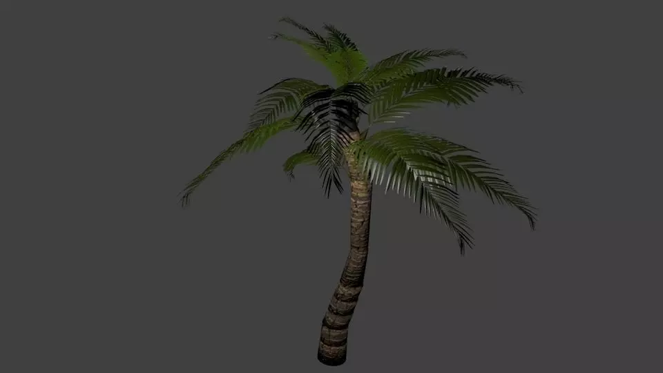 Palm Tree Low-poly 3D model_0