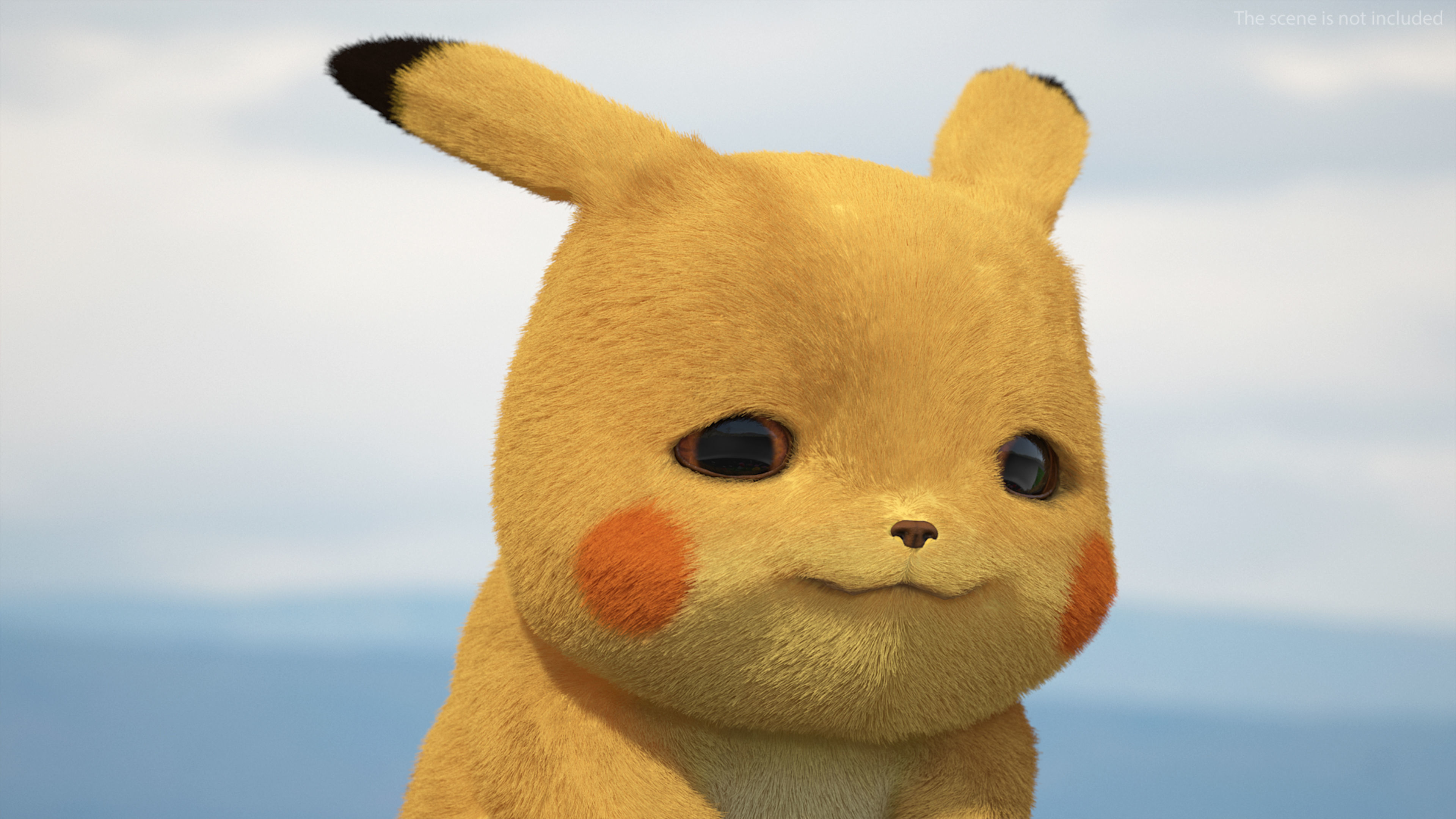 Pikachu Character Sad Fur 3D model_3