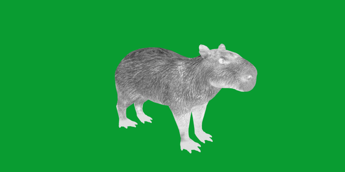 Capybara Low-poly 3D model_46