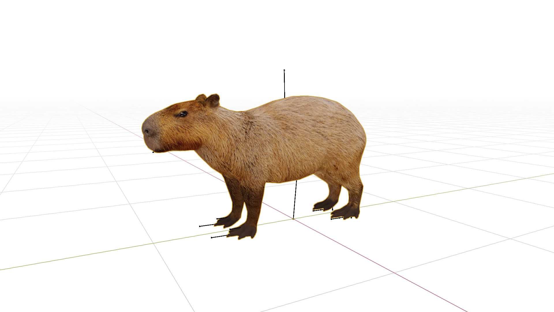 Capybara Low-poly 3D model_25