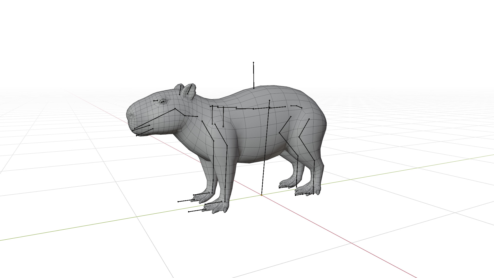 Capybara Low-poly 3D model_12