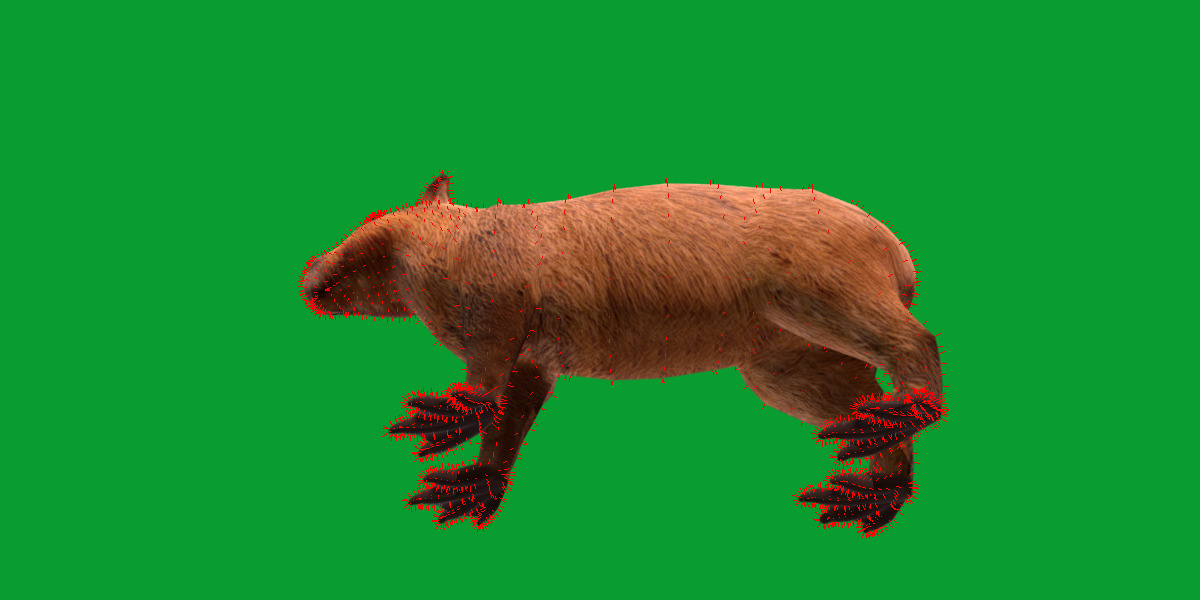 Capybara Low-poly 3D model_54