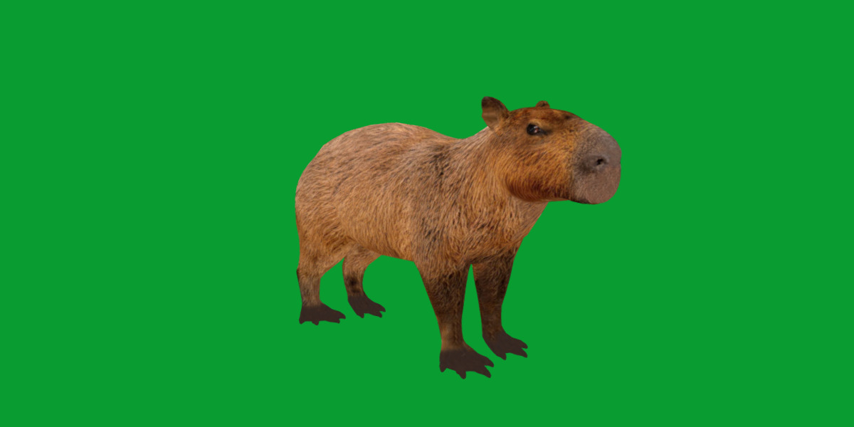 Capybara Low-poly 3D model_32