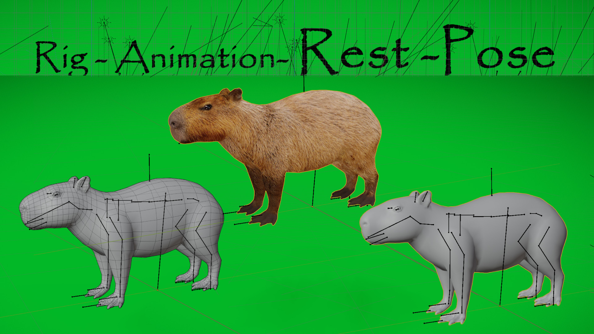 Capybara Low-poly 3D model_28