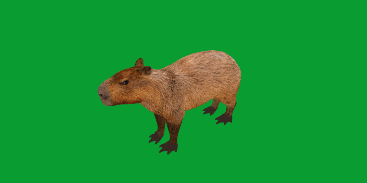 Capybara Low-poly 3D model_47