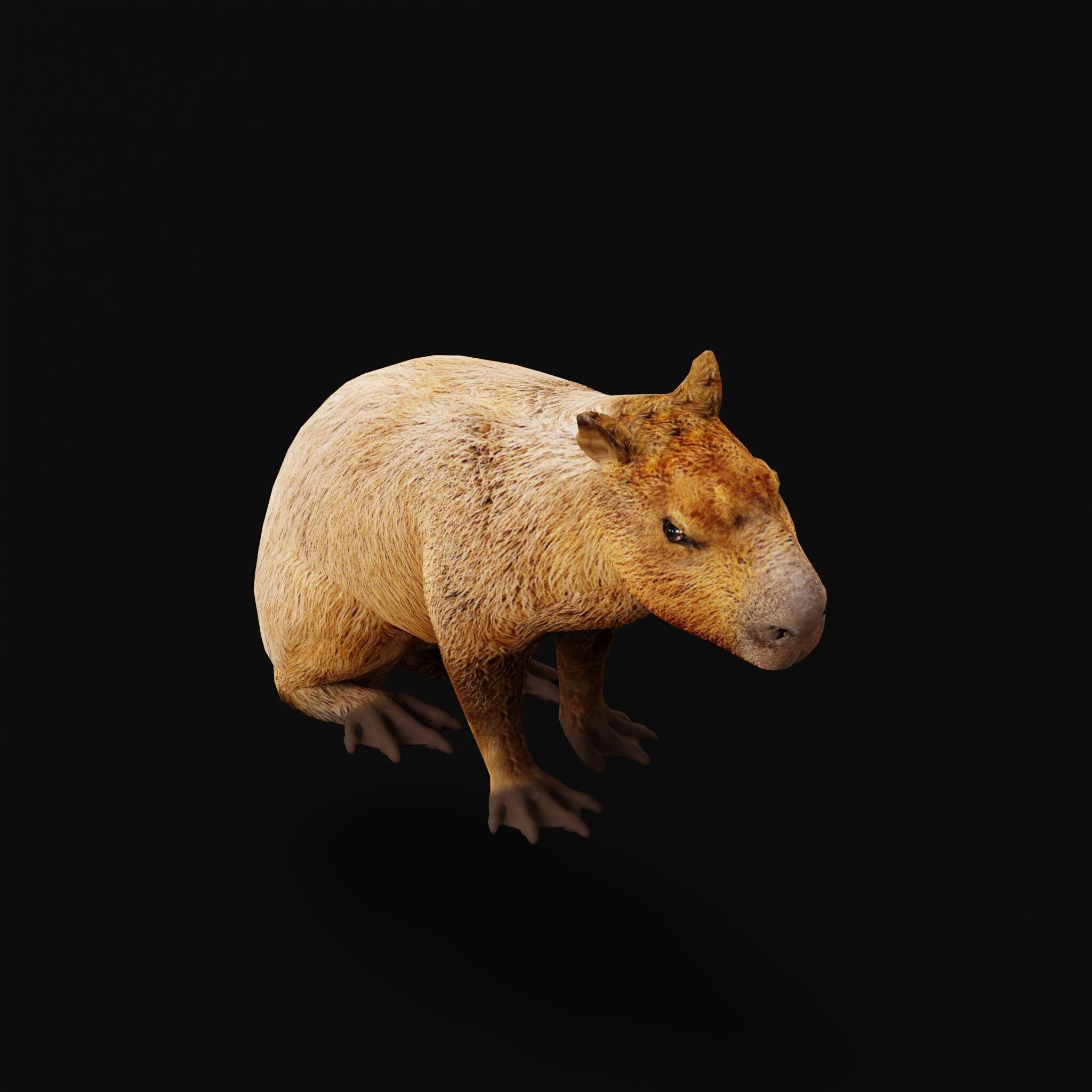Capybara Low-poly 3D model_10