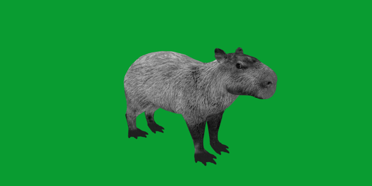 Capybara Low-poly 3D model_44