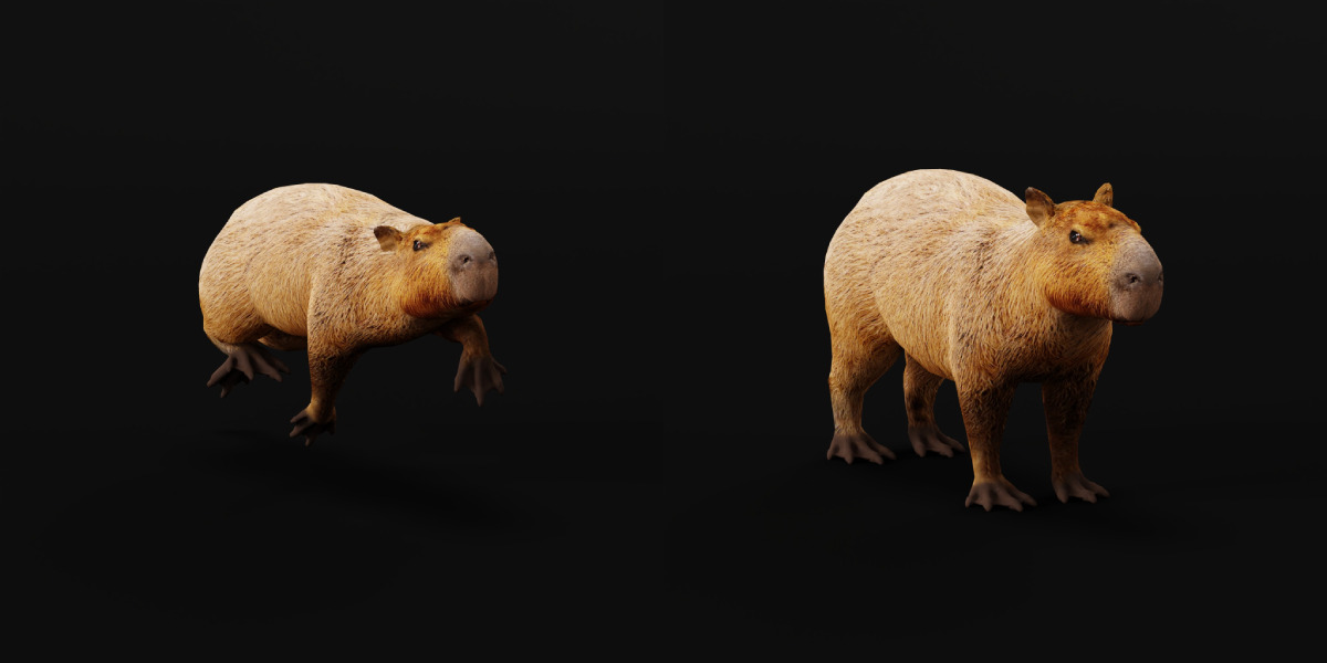 Capybara Low-poly 3D model_38