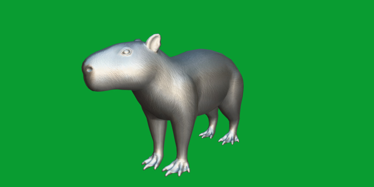 Capybara Low-poly 3D model_50