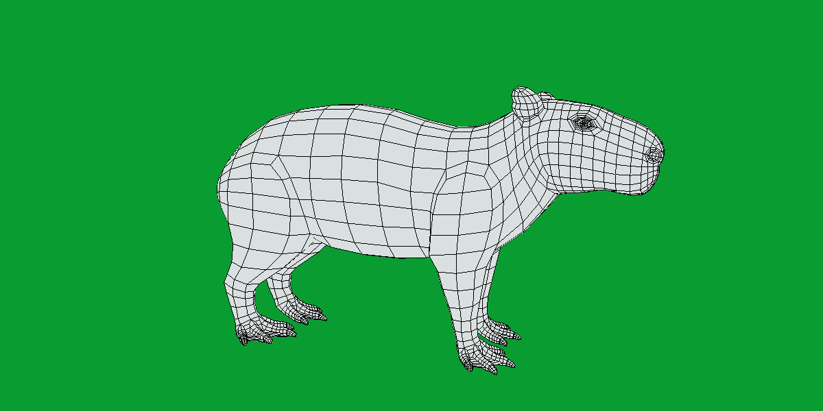Capybara Low-poly 3D model_33