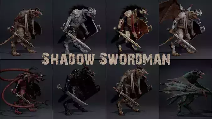 Shadow Swordman