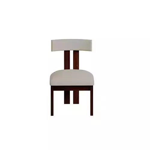 Modern Dining Chairs