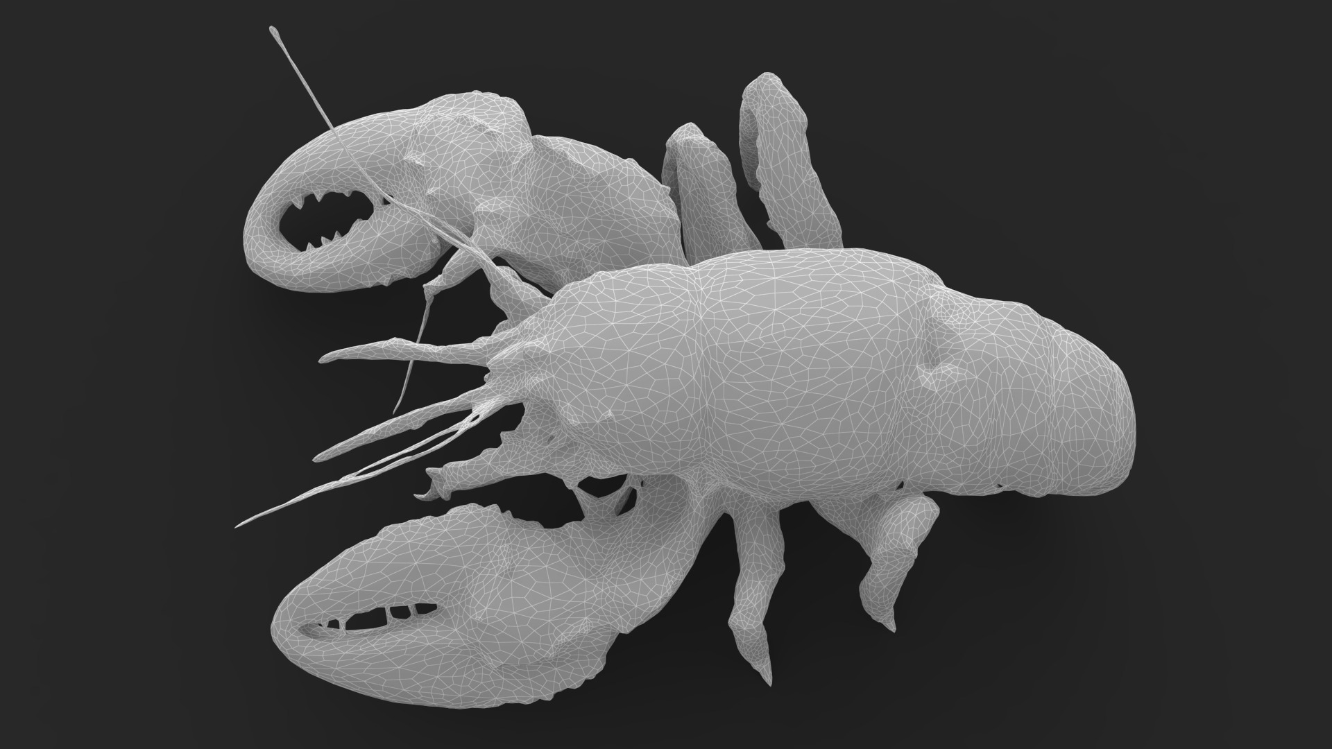 Lobster Low-poly 3D model_14