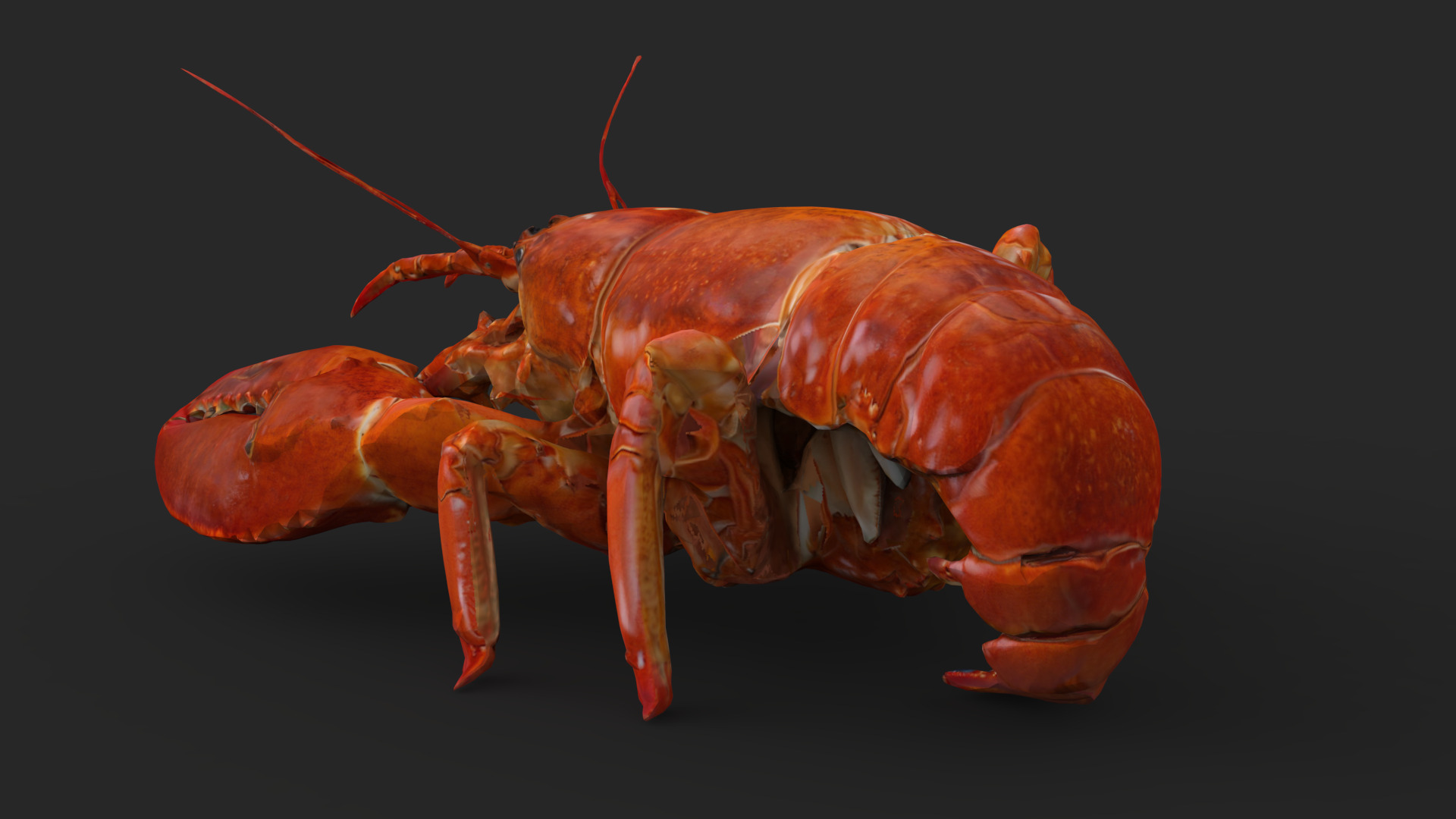Lobster Low-poly 3D model_4