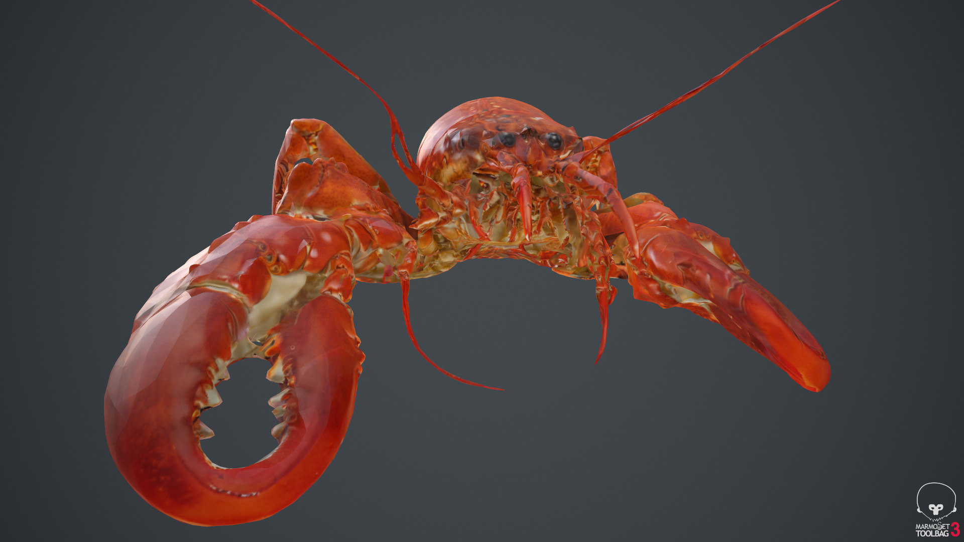 Lobster Low-poly 3D model_22