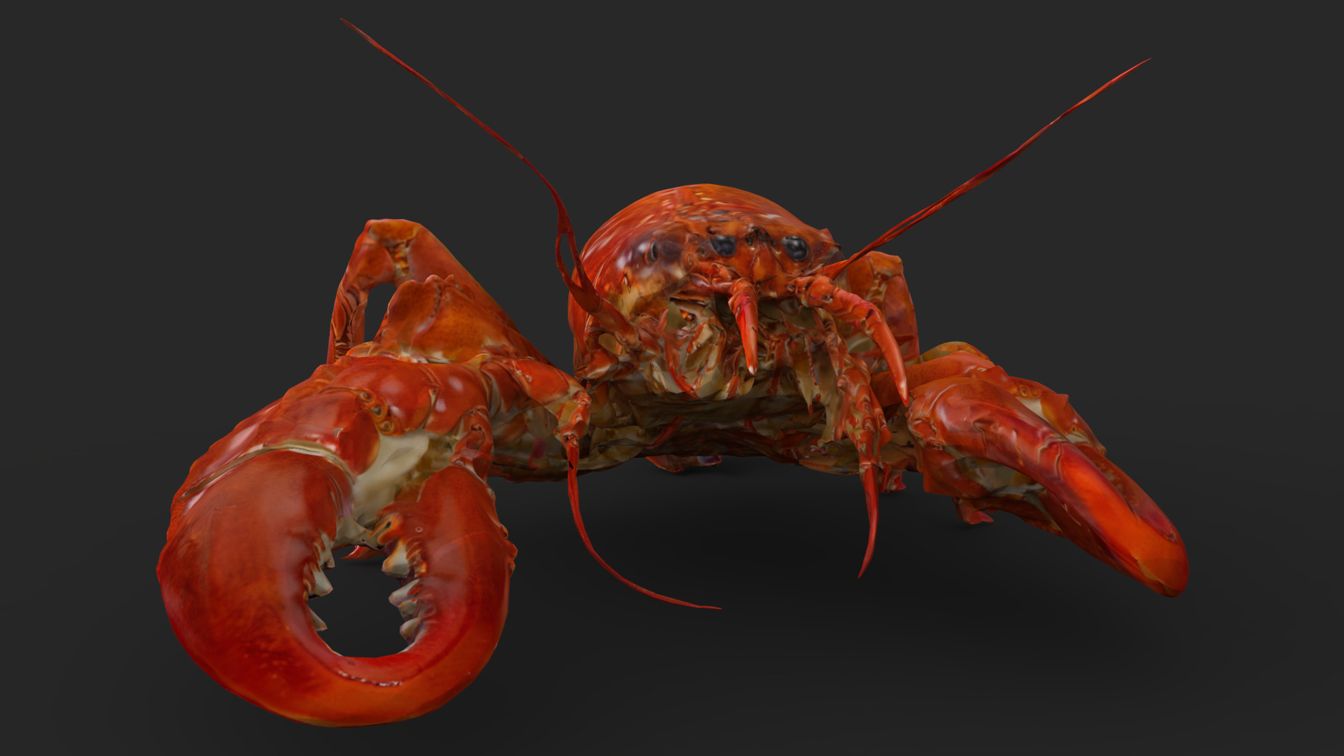 Lobster Low-poly 3D model_7