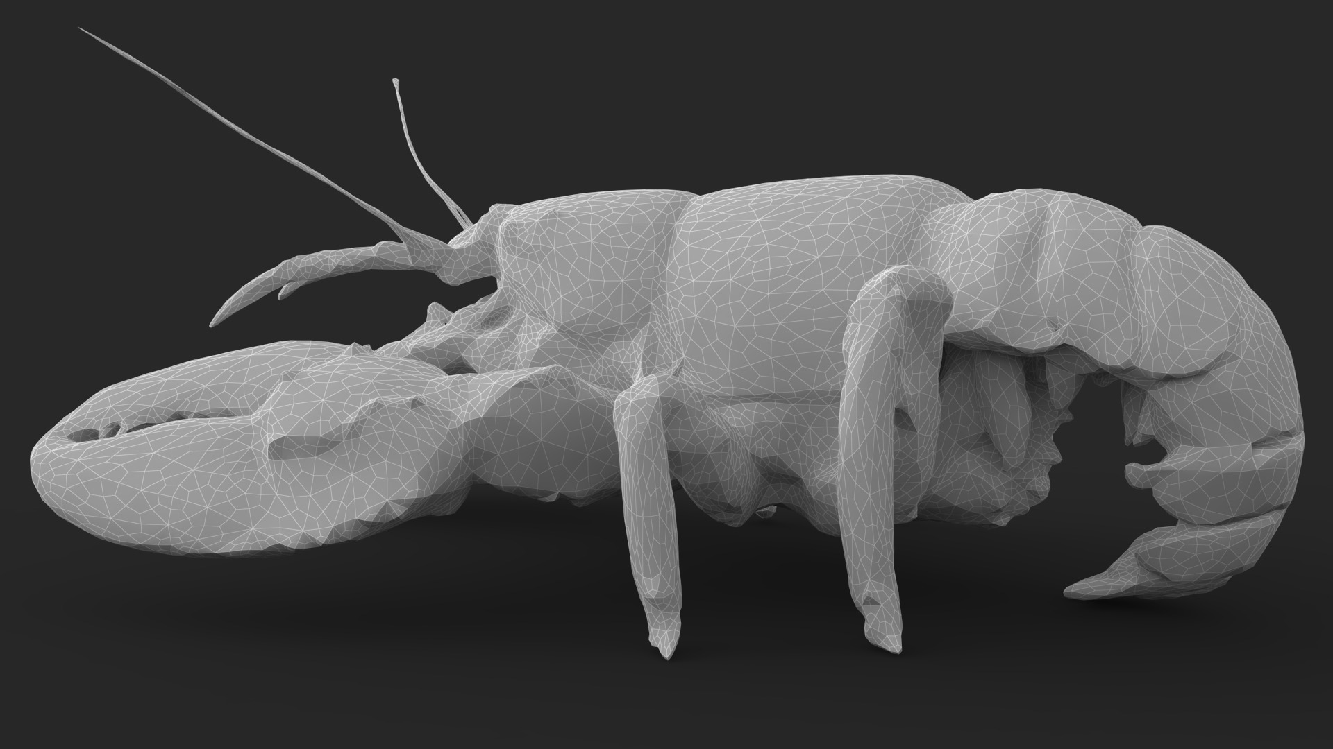 Lobster Low-poly 3D model_12