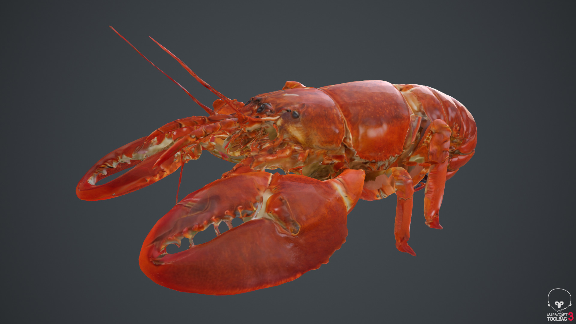 Lobster Low-poly 3D model_18