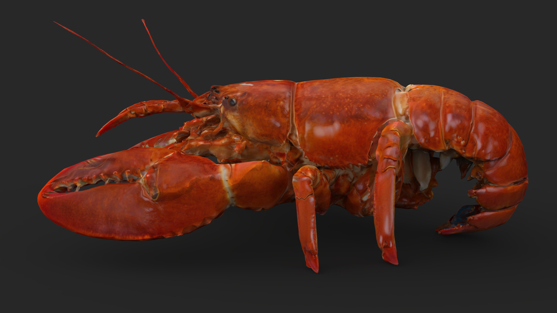 Lobster Low-poly 3D model_3