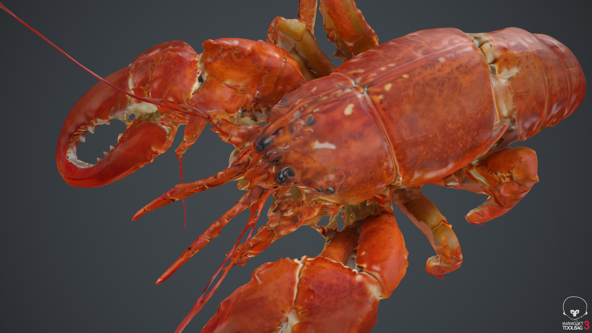 Lobster Low-poly 3D model_24