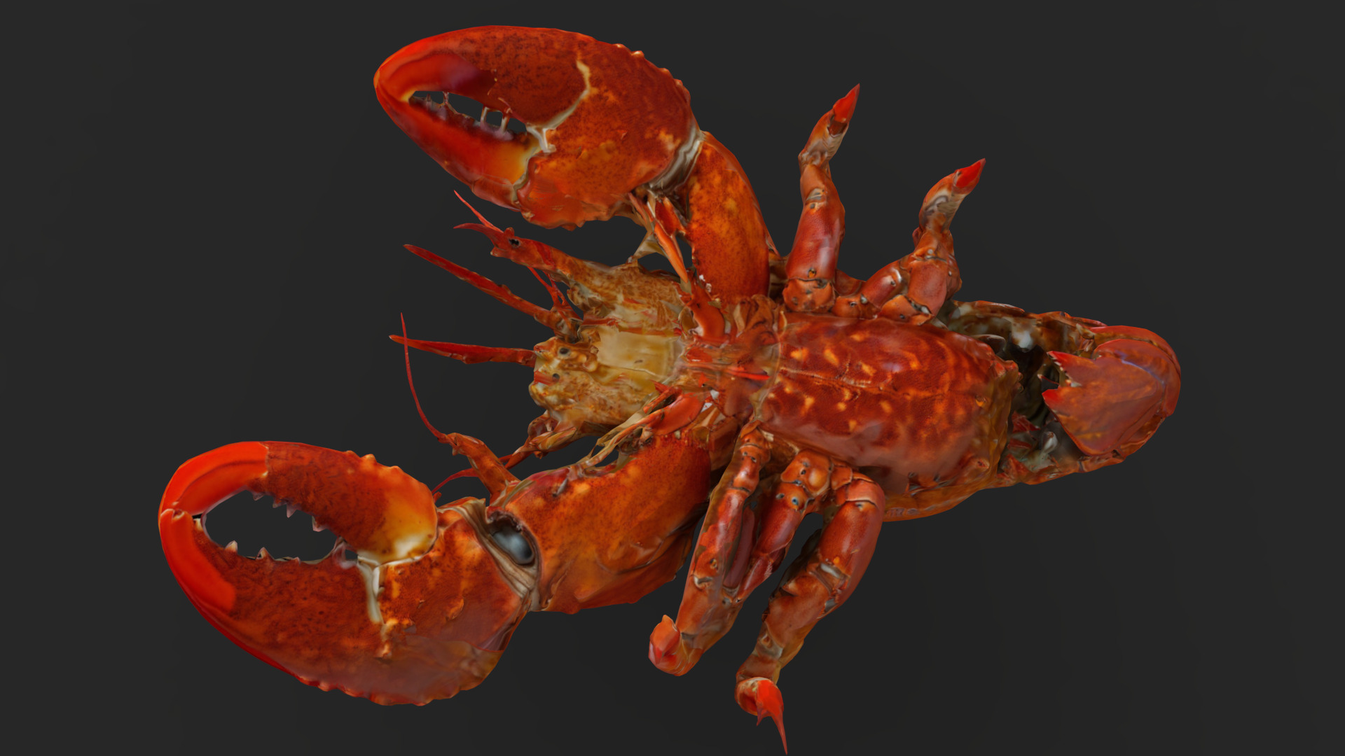 Lobster Low-poly 3D model_9