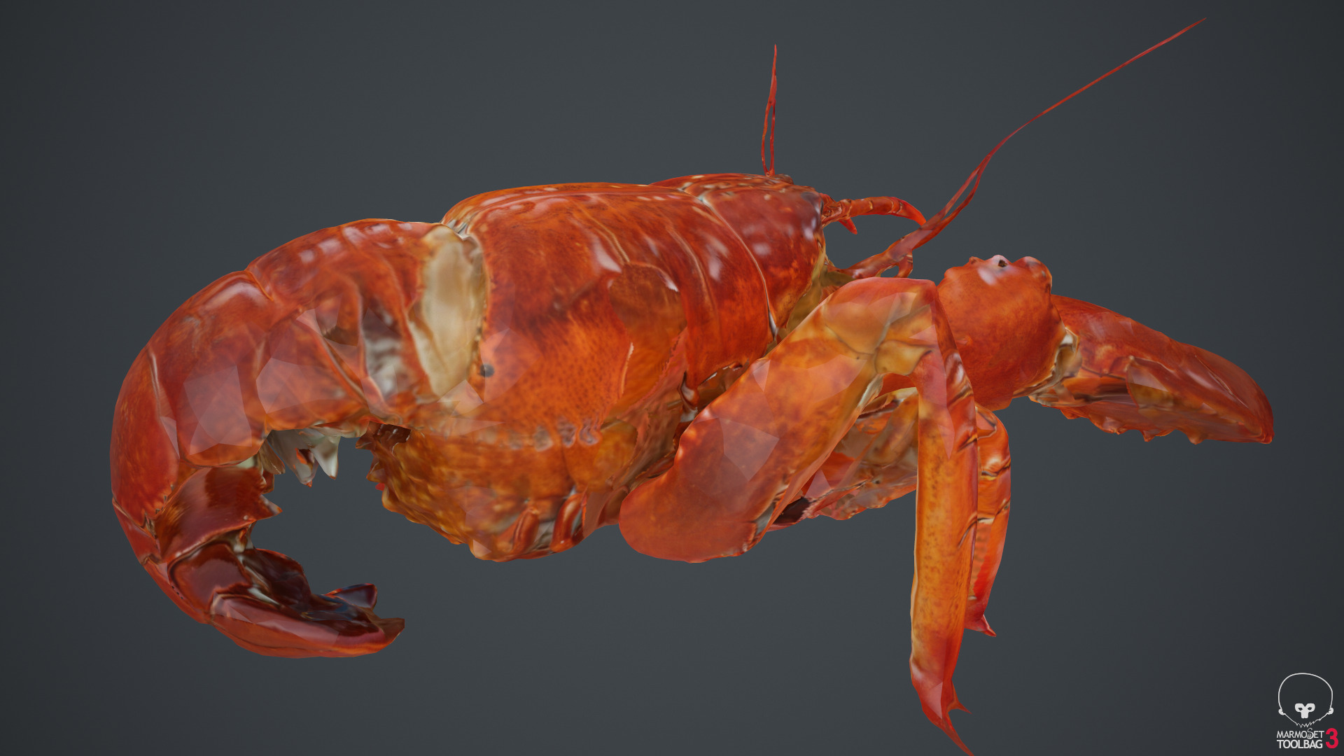 Lobster Low-poly 3D model_20