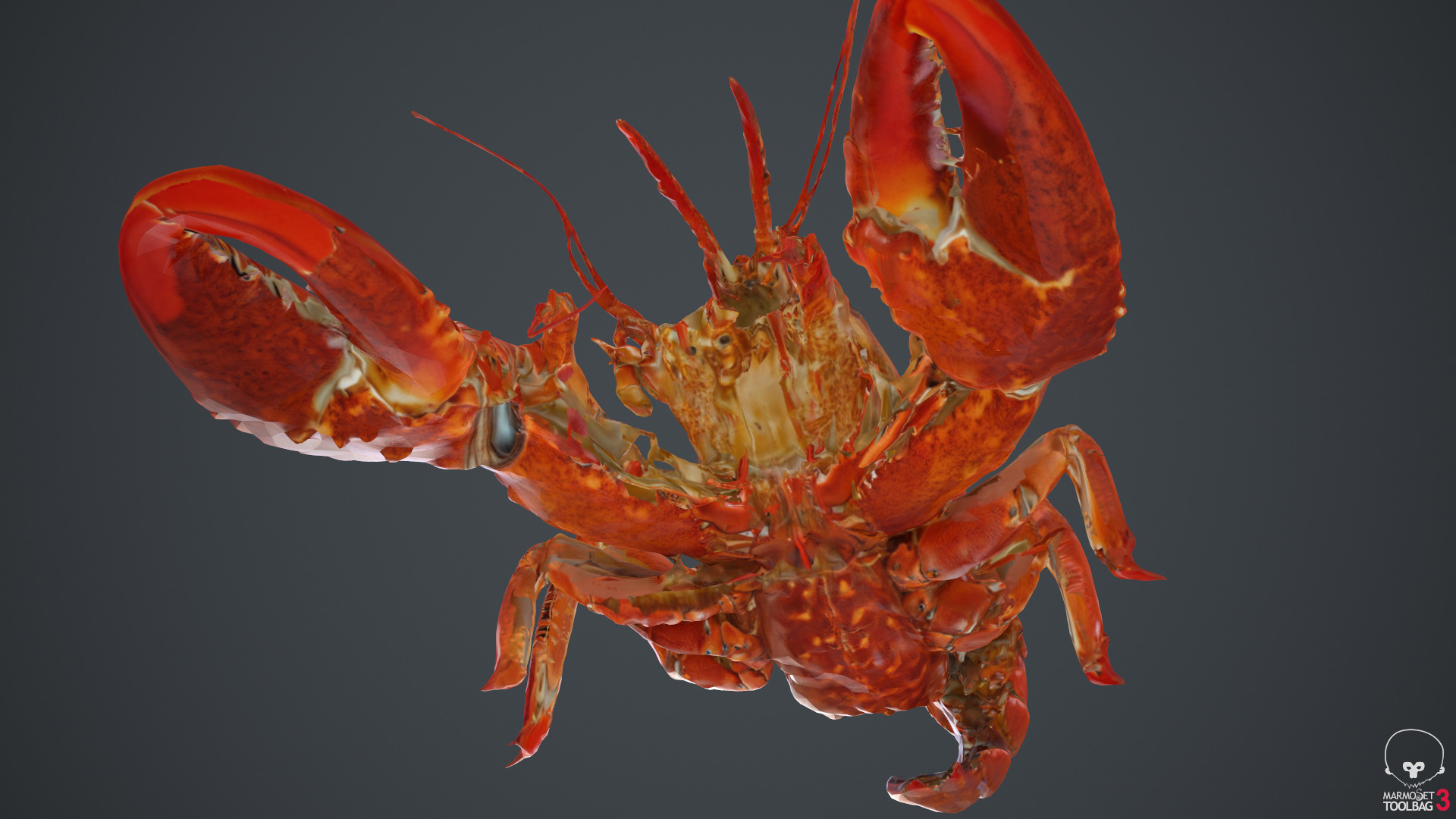 Lobster Low-poly 3D model_23