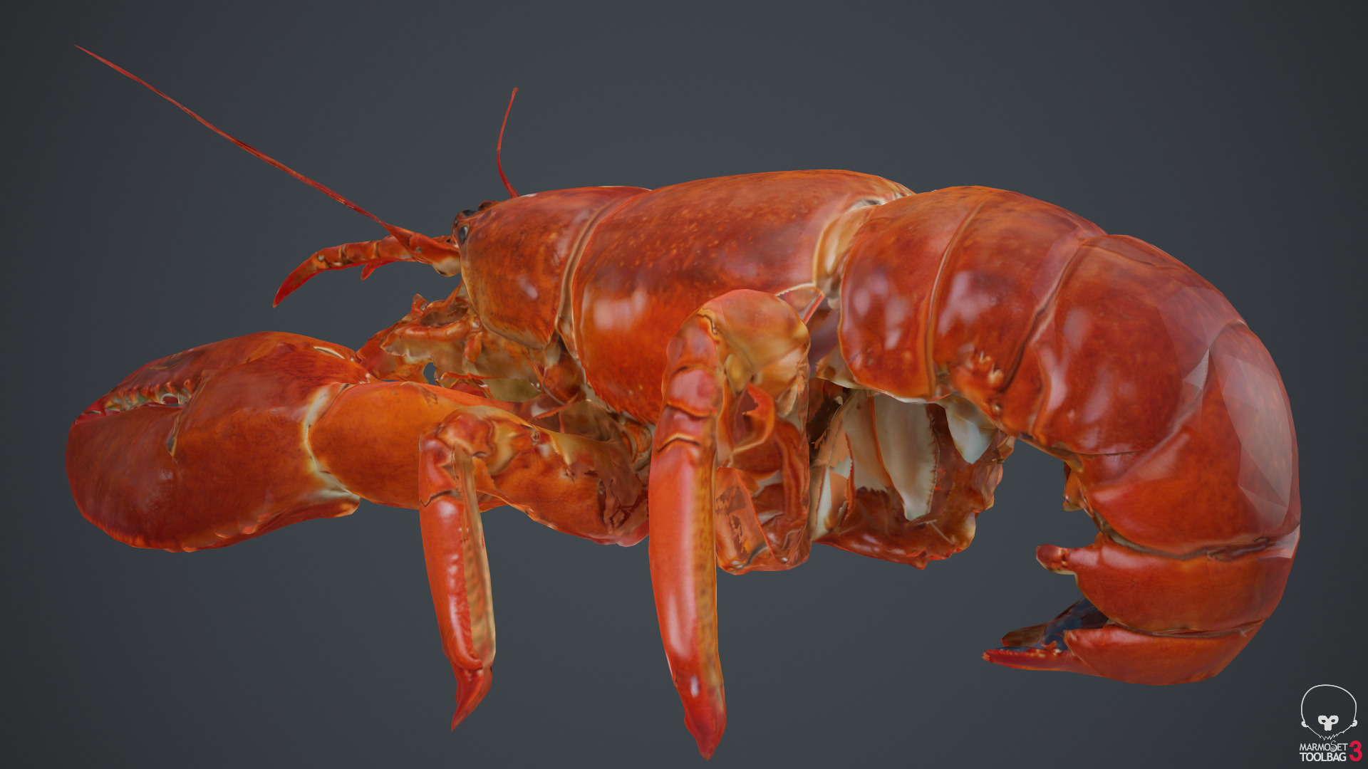 Lobster Low-poly 3D model_19