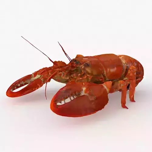 Lobster Low-poly 3D model
