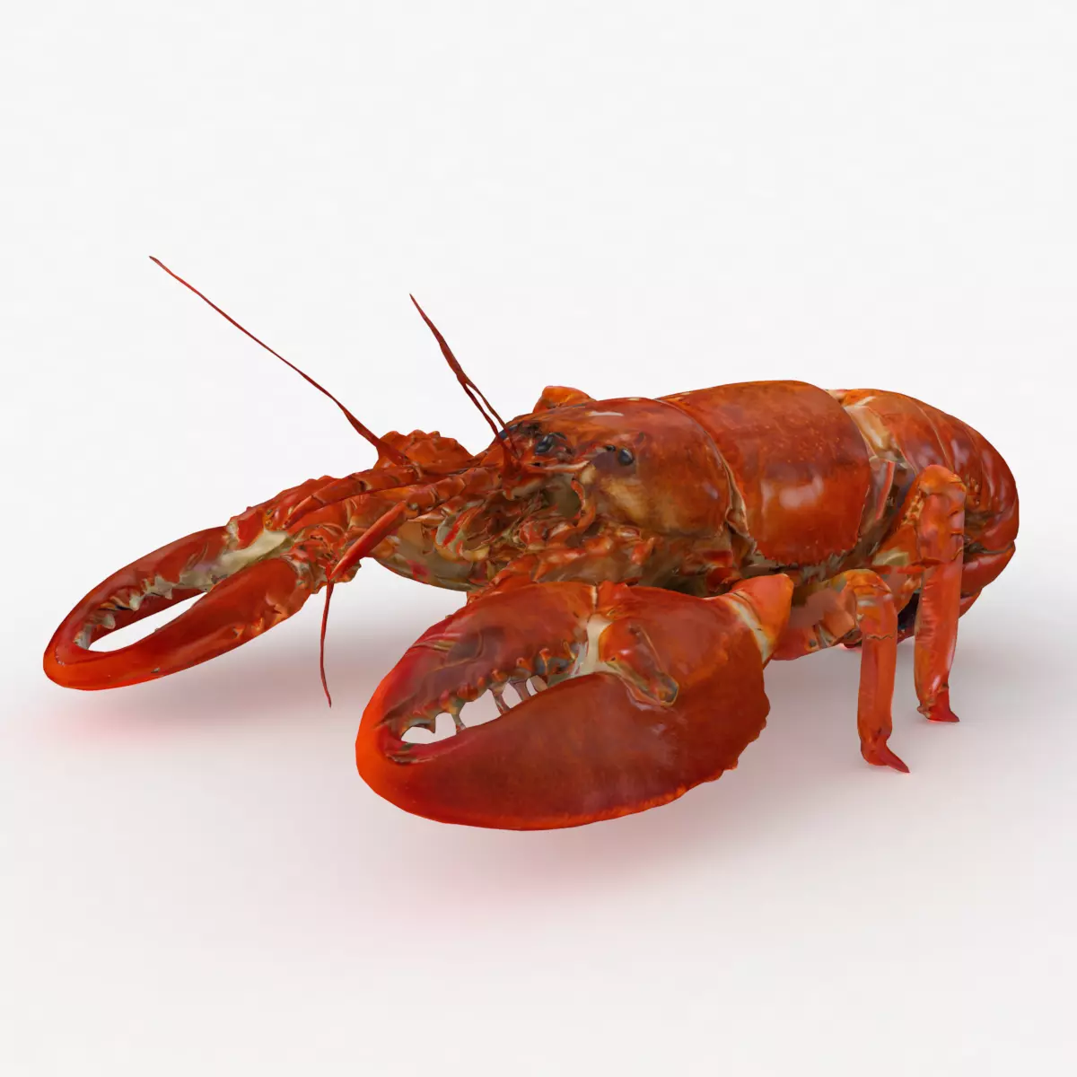 Lobster Low-poly 3D model_0