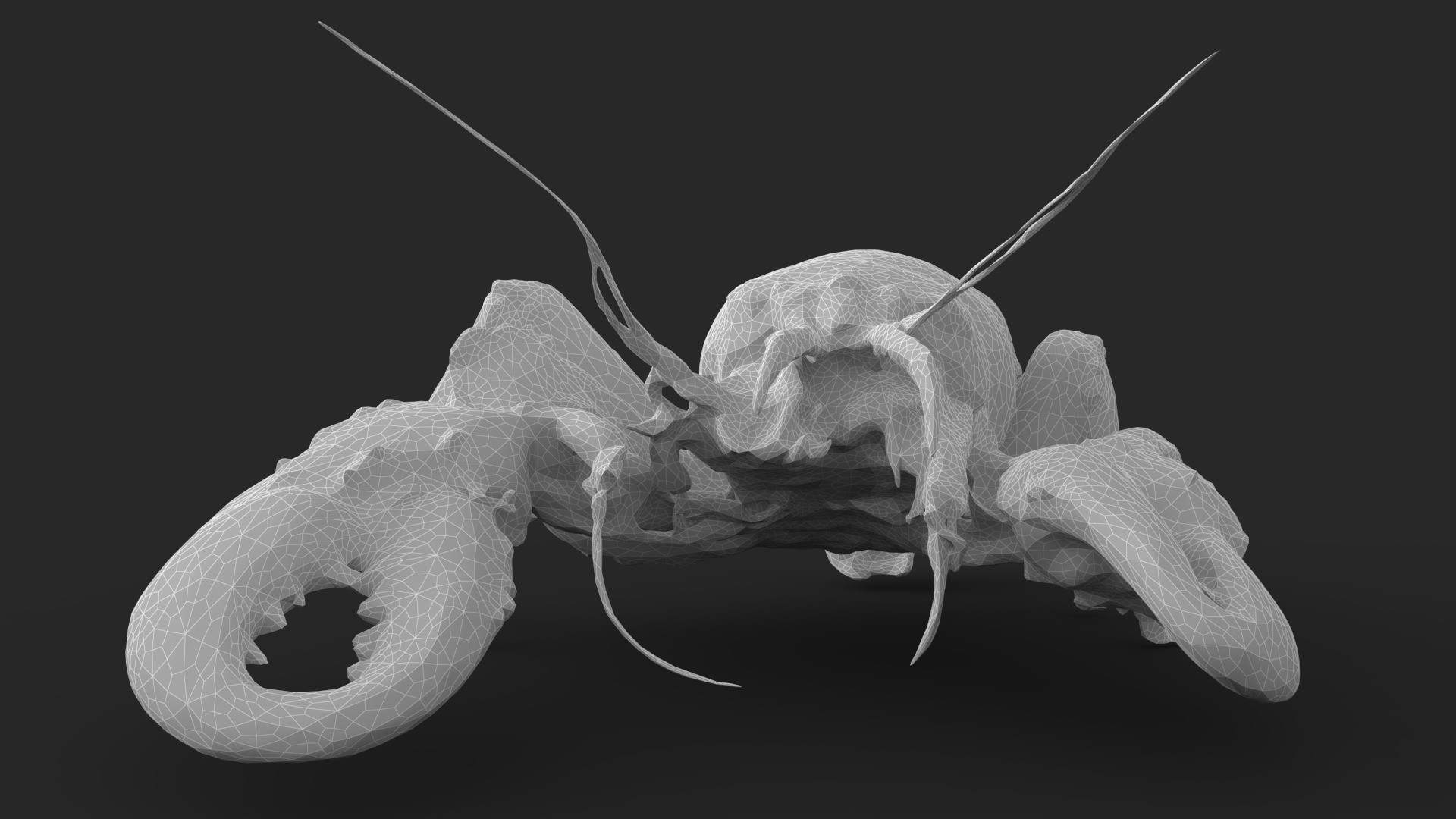 Lobster Low-poly 3D model_13
