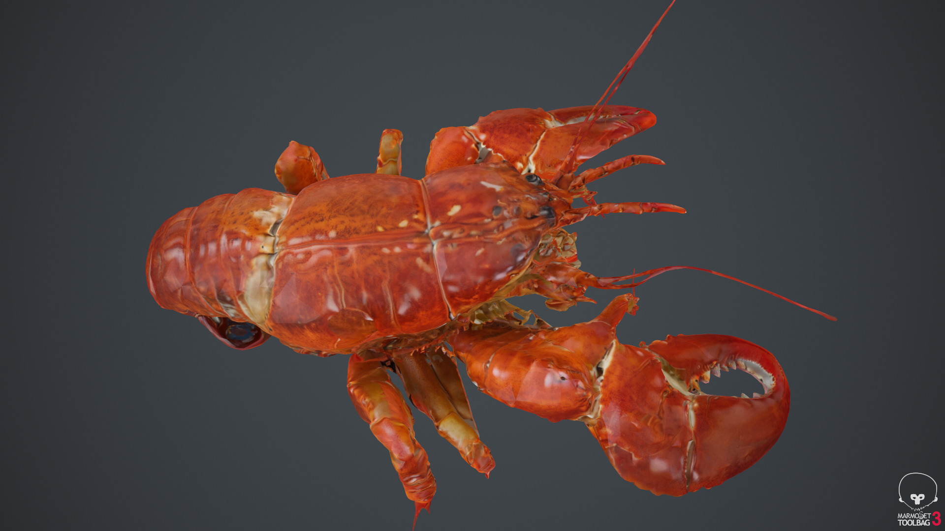 Lobster Low-poly 3D model_21