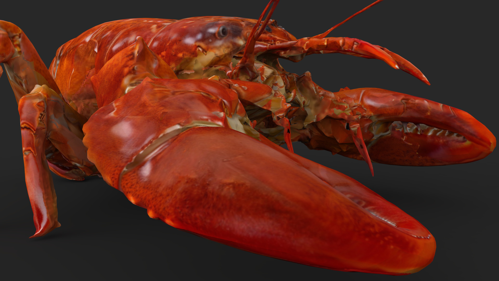 Lobster Low-poly 3D model_10