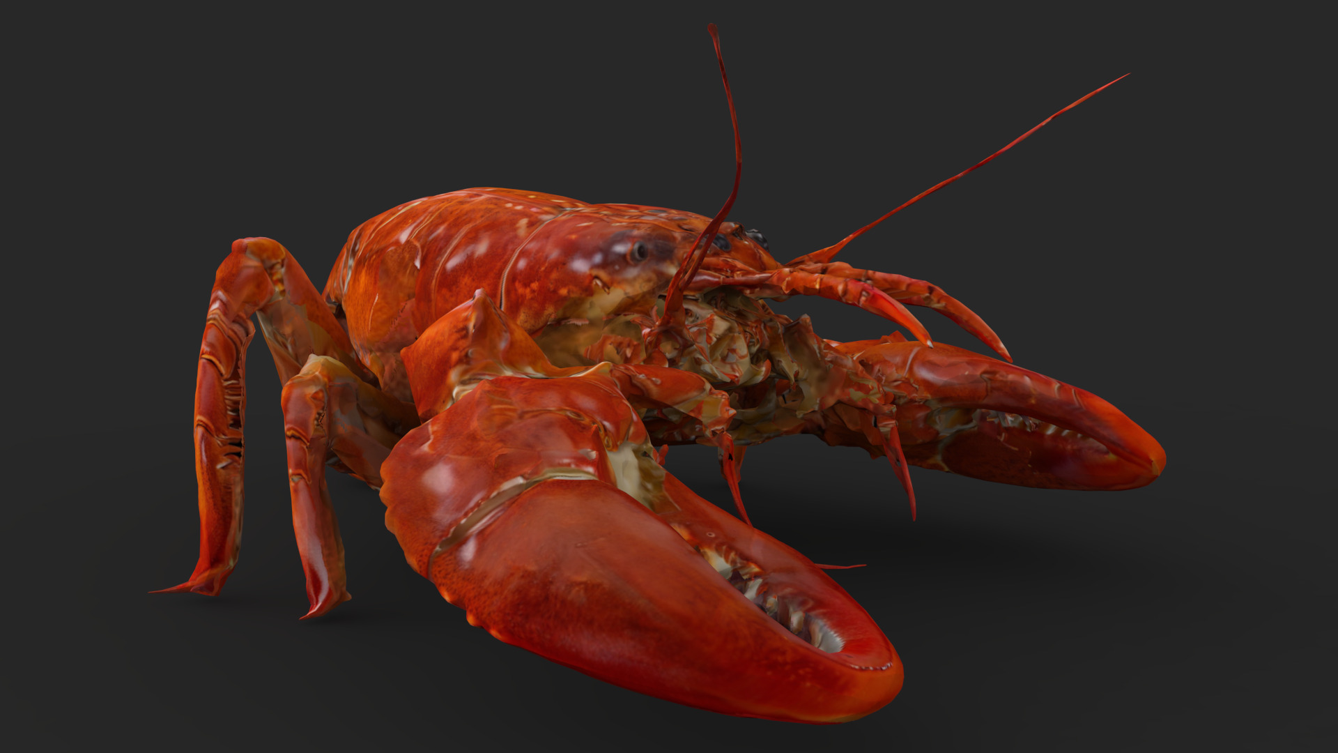 Lobster Low-poly 3D model_6