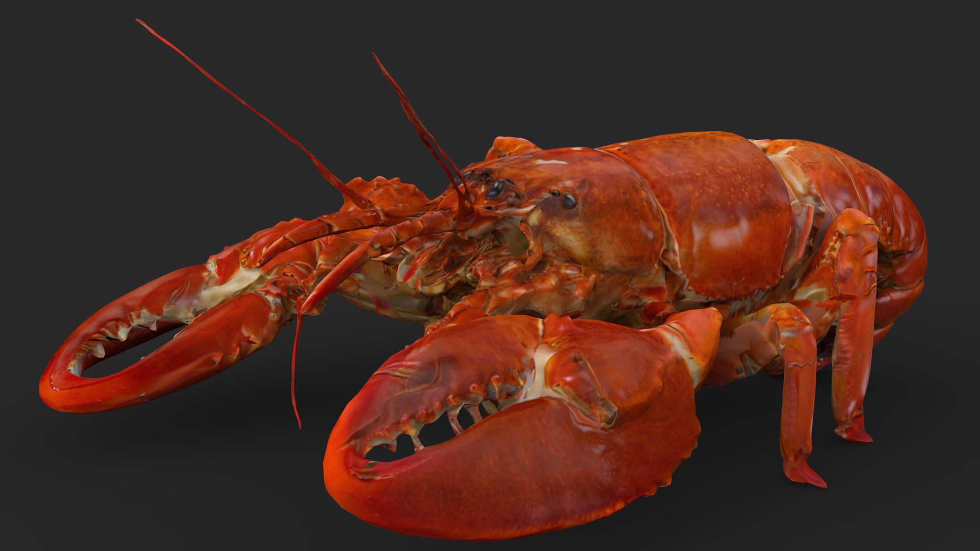 Lobster Low-poly 3D model_2