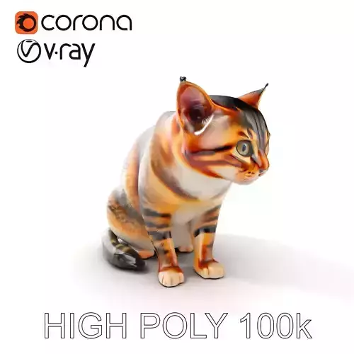 Realistic Cat Model Pack for D Rendering and Animation