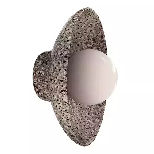 Ceramic Wall Dish Sconce Light   White Ochre