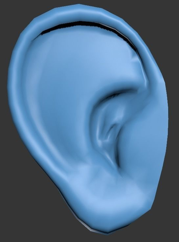 Ear ready to attach to head model Free low-poly 3D model